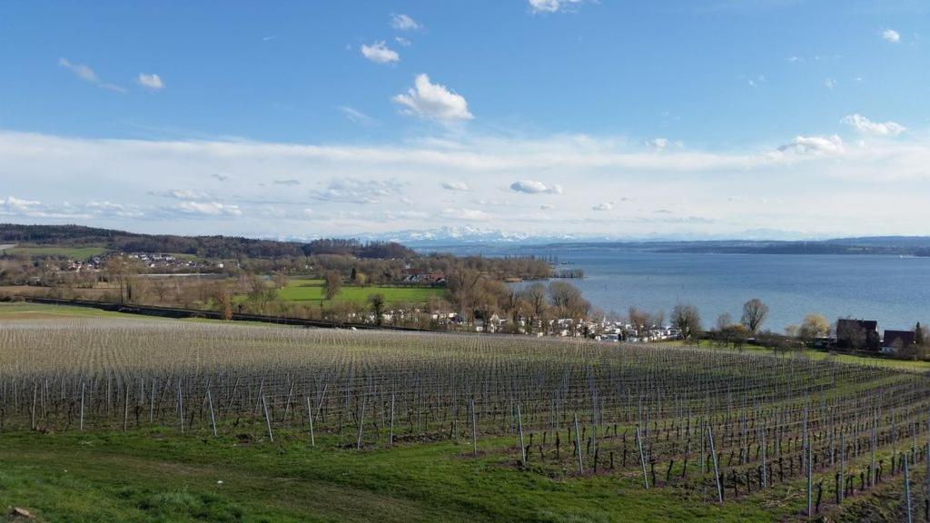 Ferienwohnung Treibgut Uhldingen-Muehlhofen Luaran gambar
